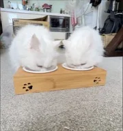咘咘和呢呢