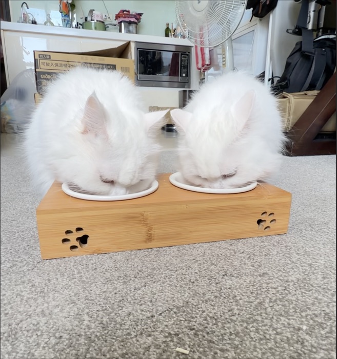 咘咘和呢呢